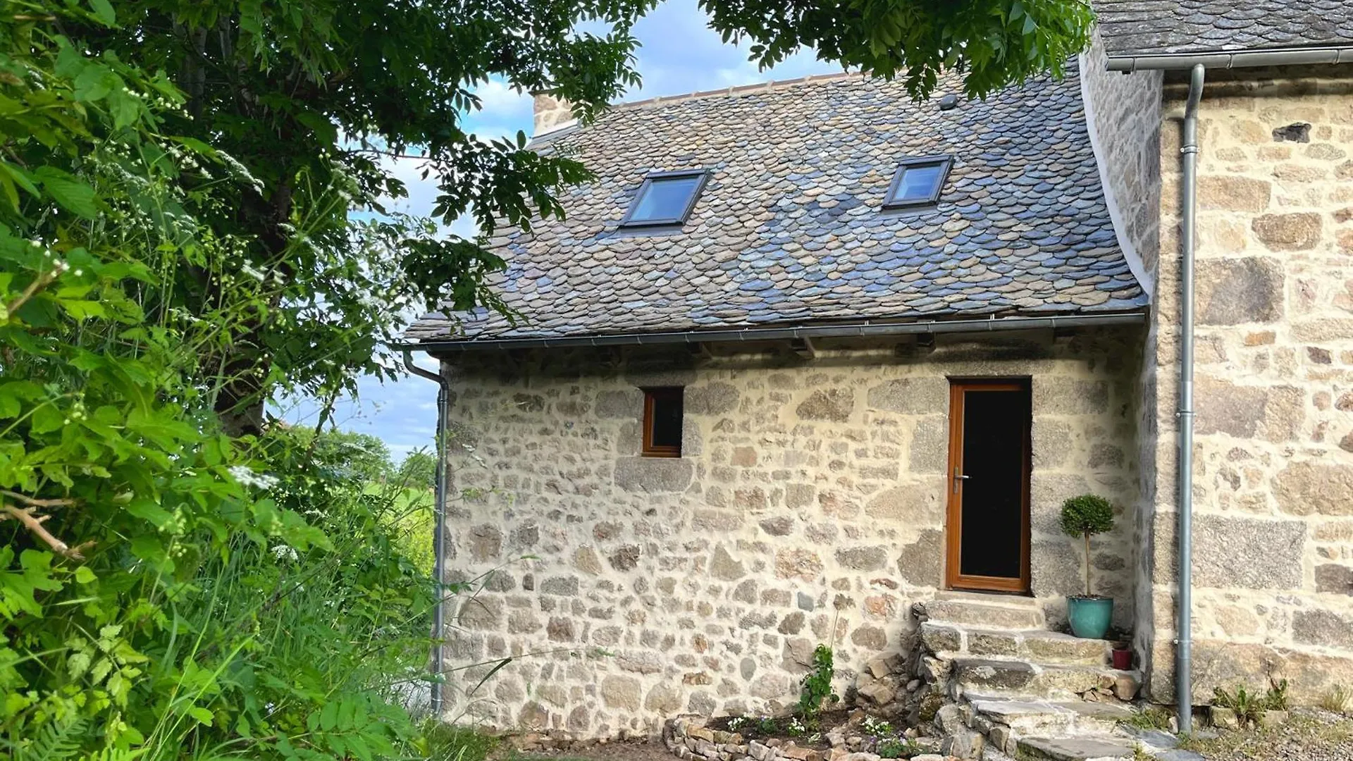 Le Chant Du Grillon Le Nayrac